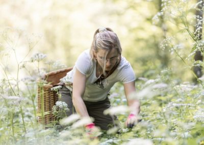 Aurélie Chèvre cueille des fleurs et plantes pour l’herboristerie