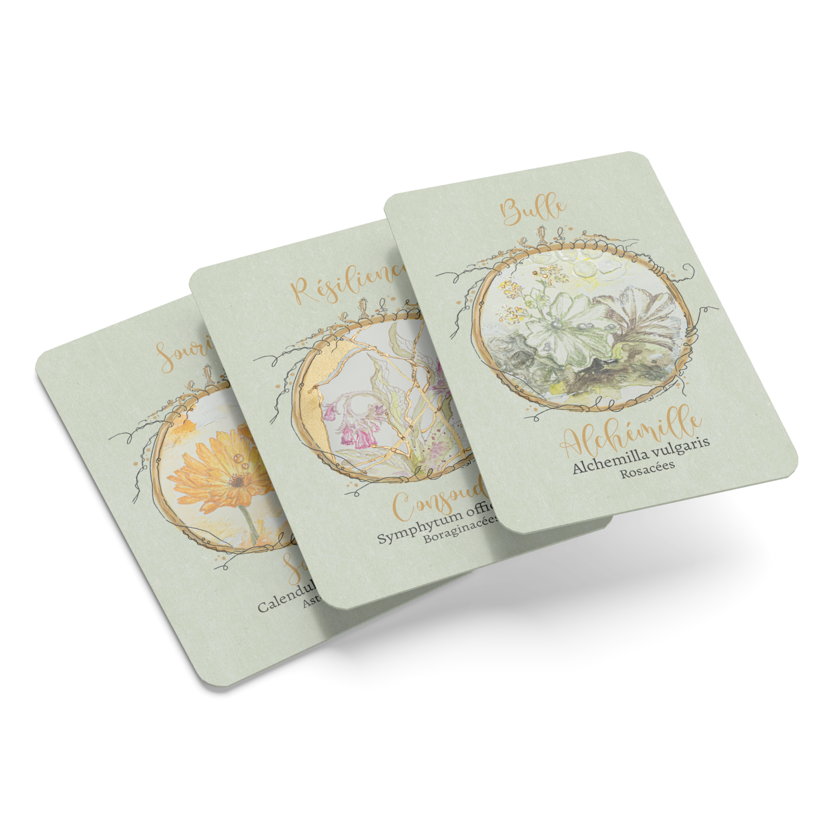Cartes de l’oracle Jardin Secret : Alchémille, Consoude et Calendula